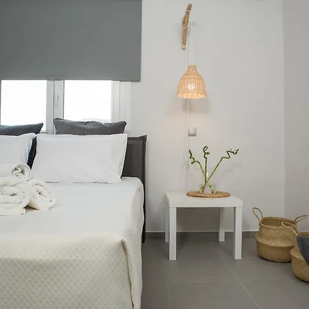 Palio Grey *